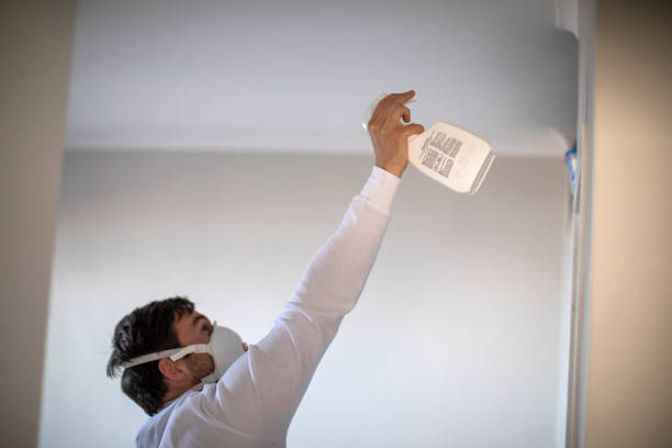 Best Best Mold Removal Companies  in Orland Park, IL