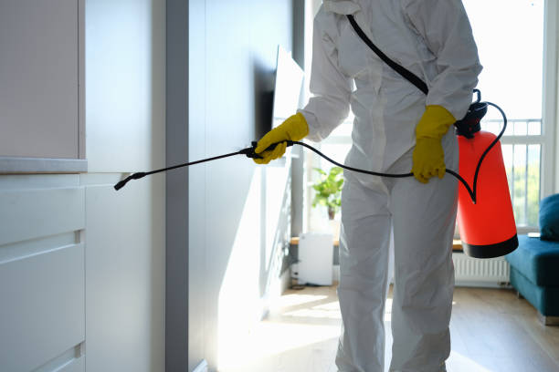 Office Mold Removal Services in Orland Park, IL