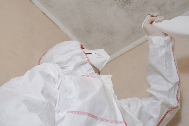 Best Emergency Mold Removal  in Orland Park, IL
