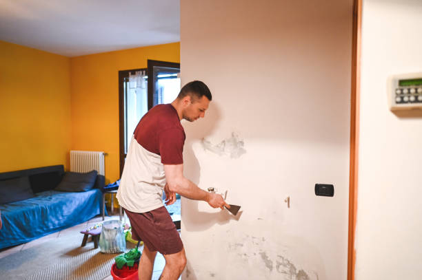 Best Toxic Mold Removal  in Orland Park, IL